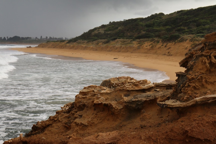 A coastal cliff with the beach in the background.