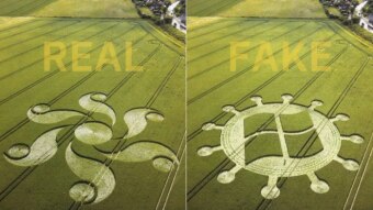 A fake crop circle on the right in the shape of a microsoft logo next to the real image, the shape of a flower