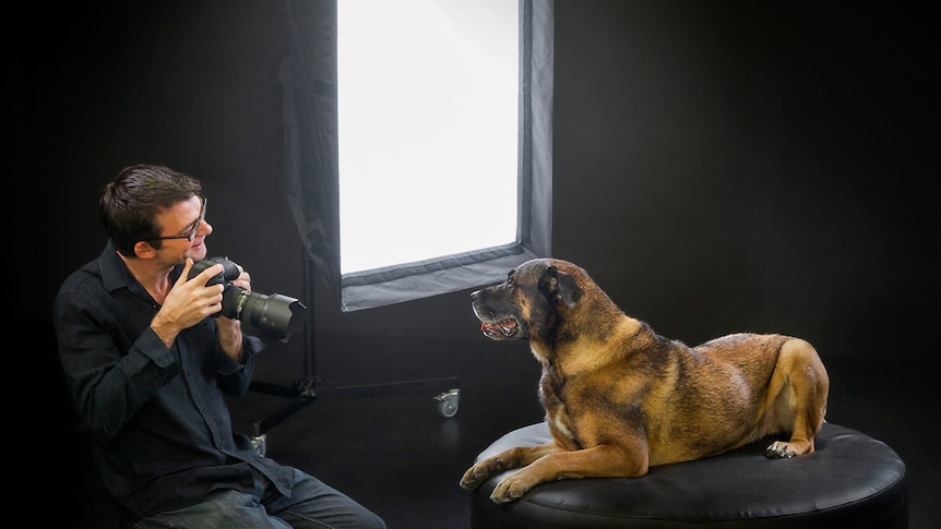 Pet photographer Ken Drake in studio with a large dog on a couch.