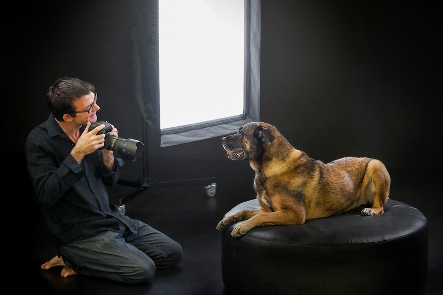 Pet photographer Ken Drake in studio with a large dog on a couch.