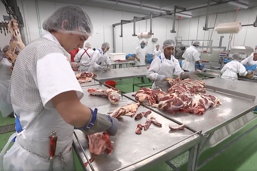 abattoir workers processing meat