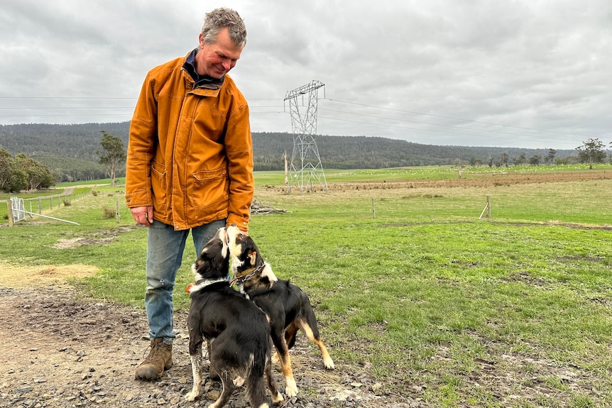 Farmer and his farm dogs in front of a transmission tower.