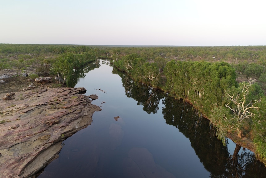 a river hemmed by green forest