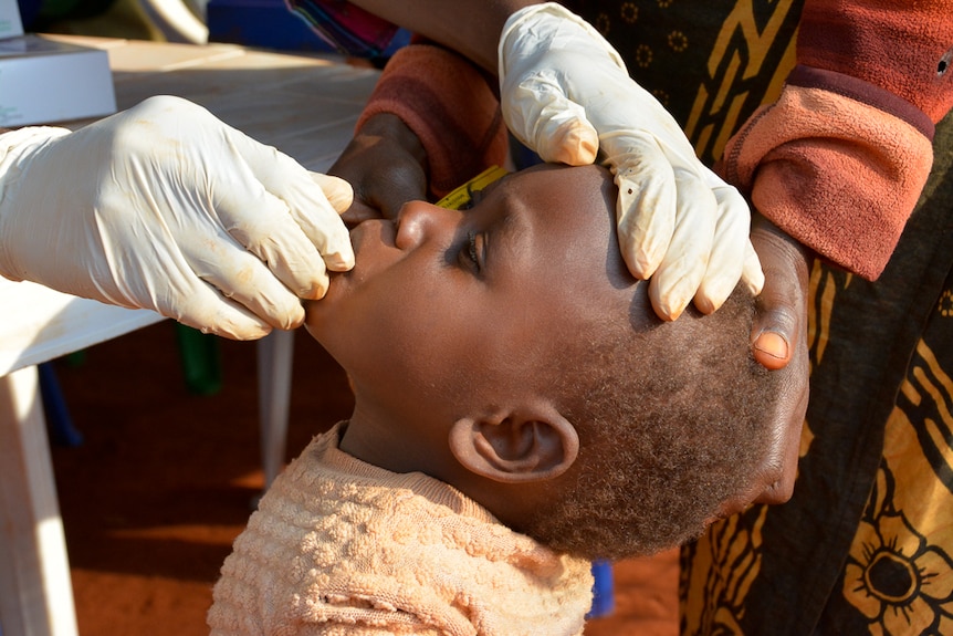 A young child receives an oral polio vaccination