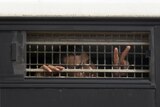 Palestinian prisoners arrive at Ketziot jail ahead of an exchange