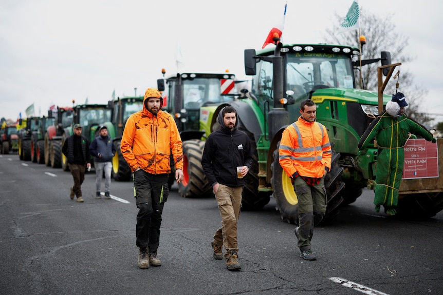 Three men walk on a highway next to large green tractors.