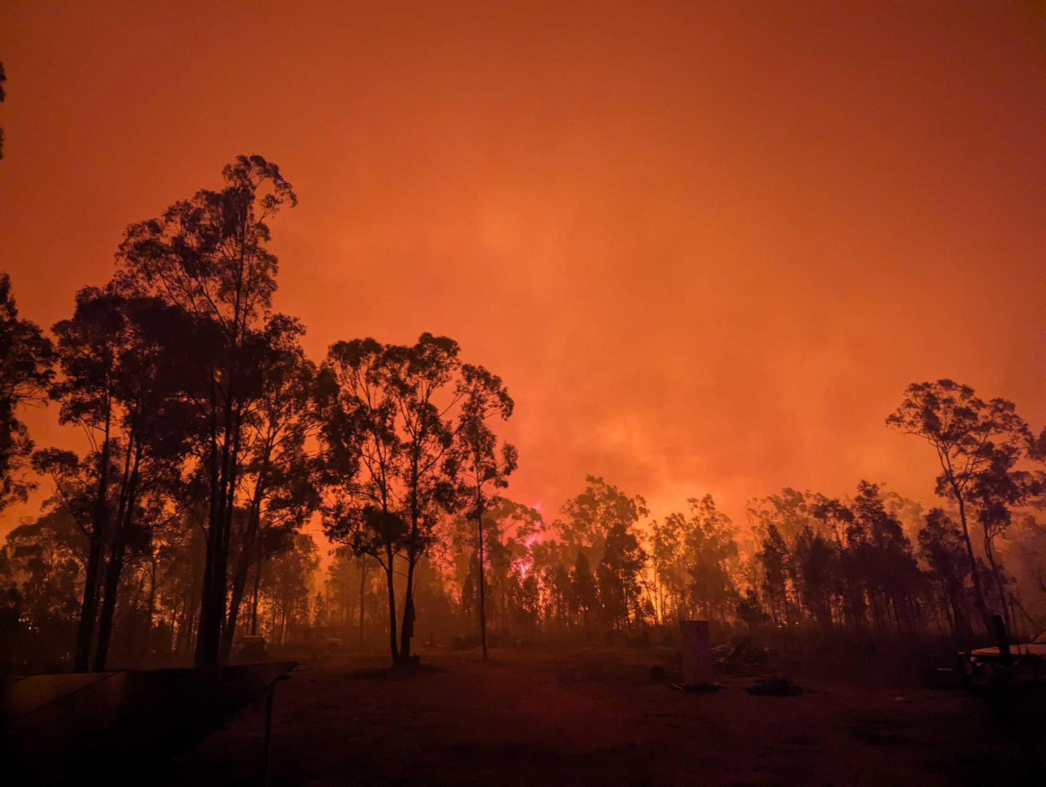 A forest fire lights up a night sky in orange, amid smoke and the black silhouettes of trees.