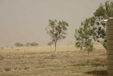 Dust storm approaches Denton Station, north-west of Longreach.