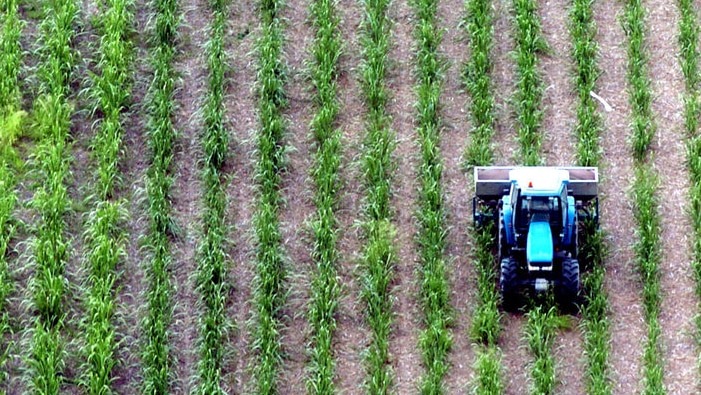 Aerial view of a sugar cane farmer in a tractor in Bundaberg region.