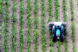 Aerial view of a sugar cane farmer in a tractor.