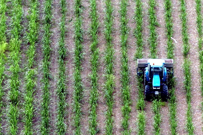 Aerial view of a sugar cane farmer in a tractor in Bundaberg region