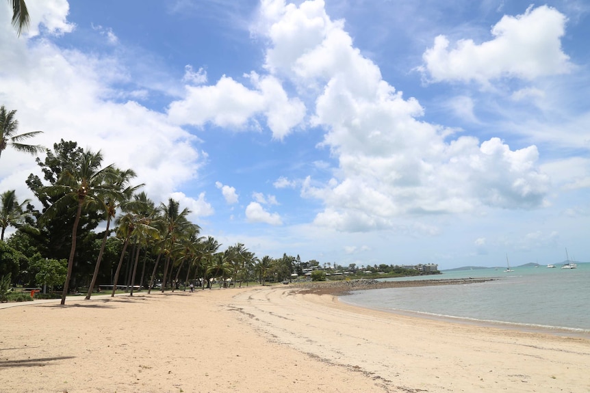 An idyllic tropical beach on a glorious day.