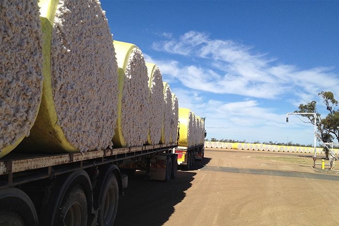Bales of cotton the back of a large truck