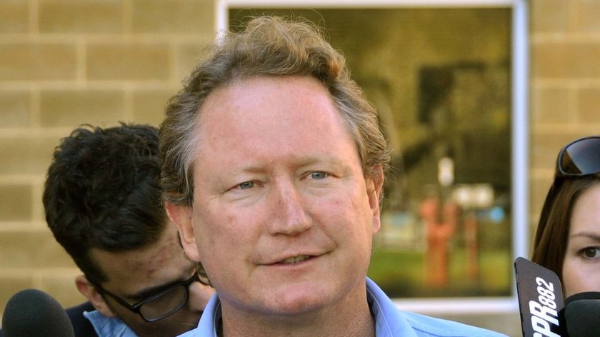 Mining magnate Andrew Forrest has criticised the money spent in promoting the mining tax.