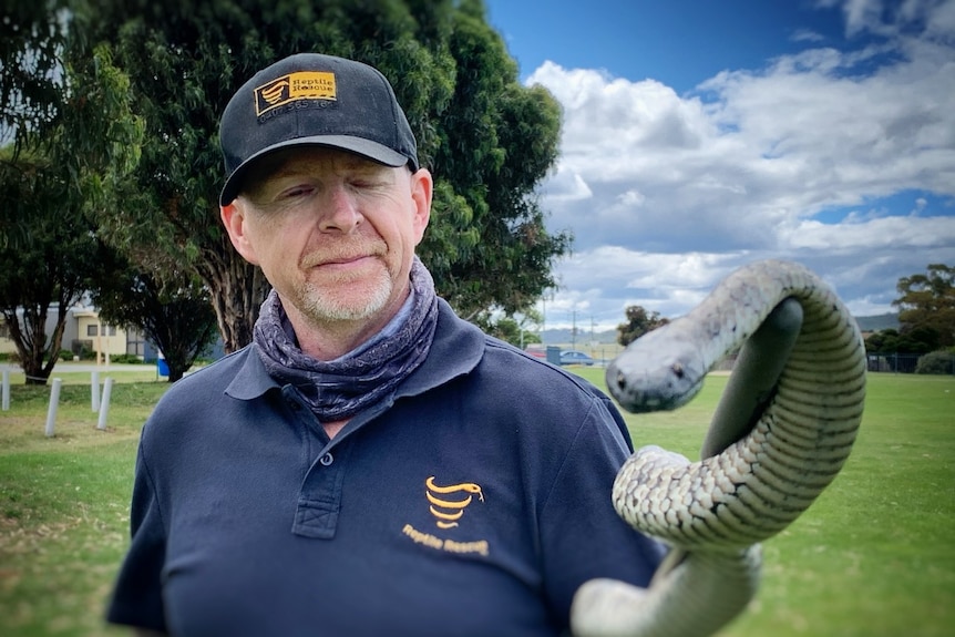 A man in a cap holds a snake on a wooden rod