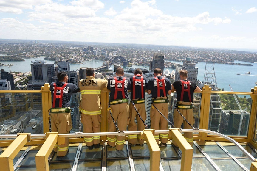 Sydney Tower harnesses