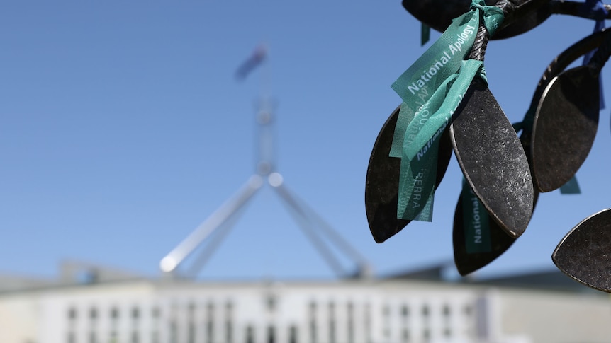 A green ribbon that says 'National Apology' is tied around a leaf on a statue of a tree. Parliament House is visible behind