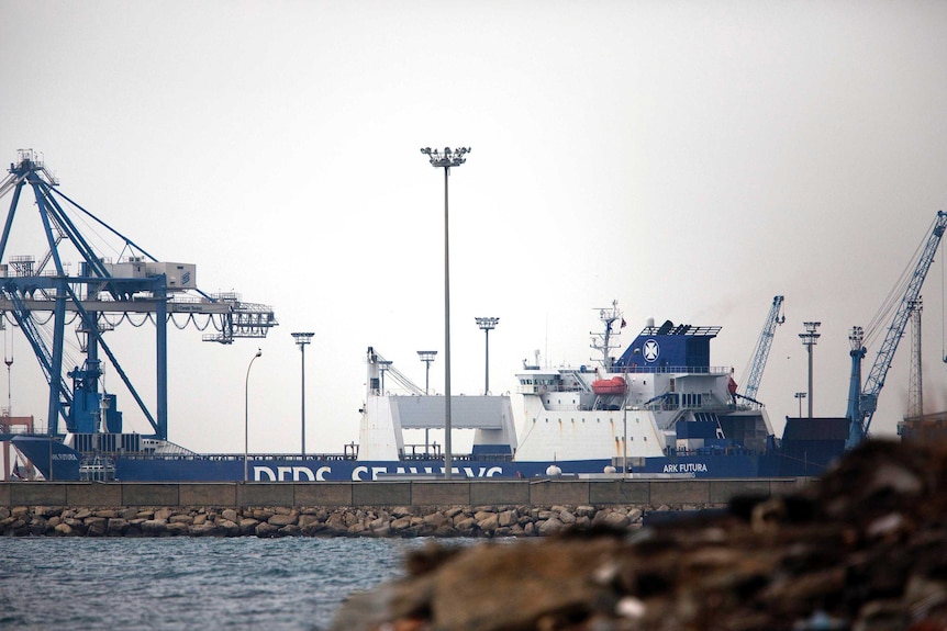 The cargo ship Ark Futura docked in Cyprus.