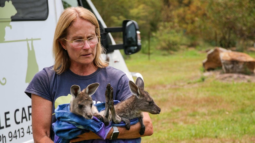 A woman hols two joeys in her arms, they escaped the Australian bushfires.