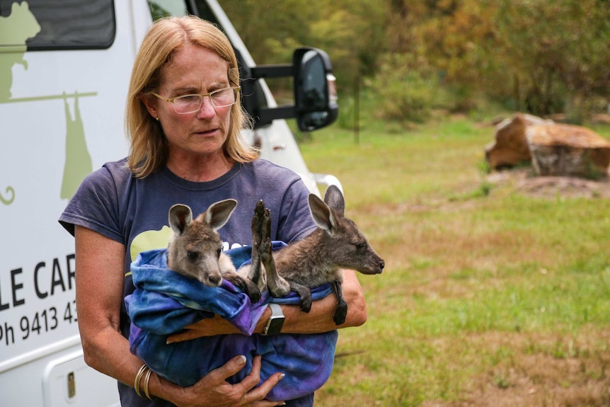 A woman hols two joeys in her arms, they escaped the Australian bushfires.