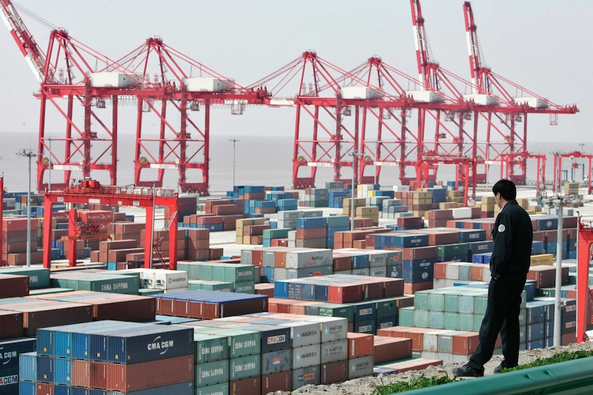 A man in the foreground watches containers at the Yangshan deepwater port in Shanghai