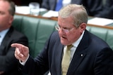 Industry Minister Ian Macfarlane during question time
