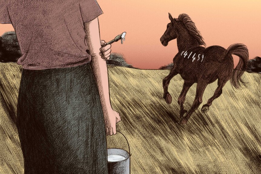 A girl carrying a bucket stands in a field near a horse that's galloping.