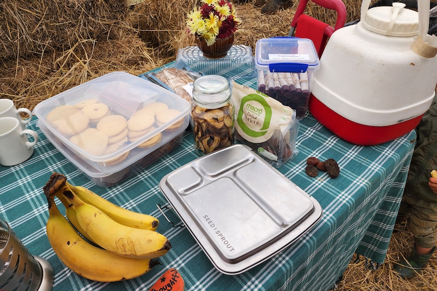 A packed lunch for a picnic.