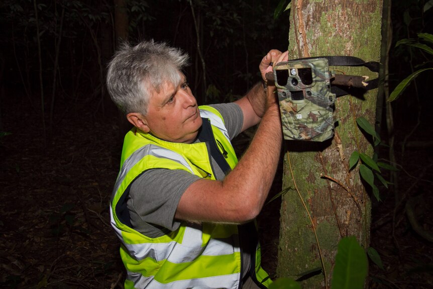 Portuguese born Australian Alberto Vale putting a monitor on a tree.