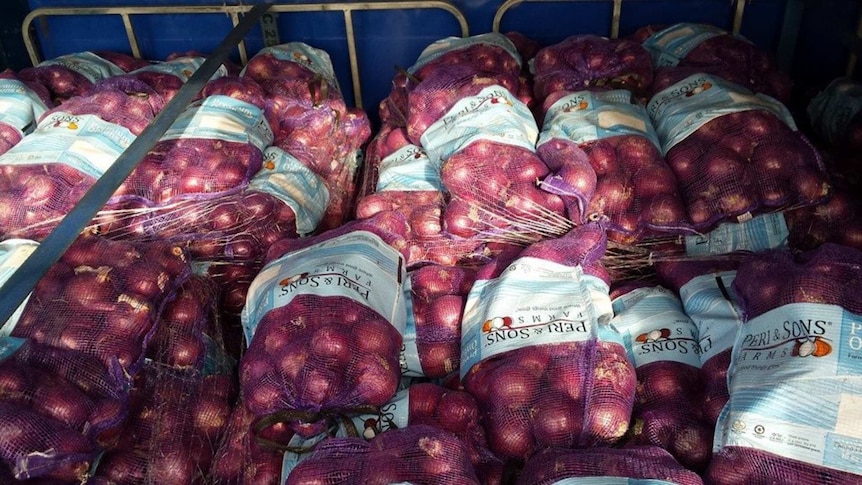 Onions from the United States arriving in Australia.