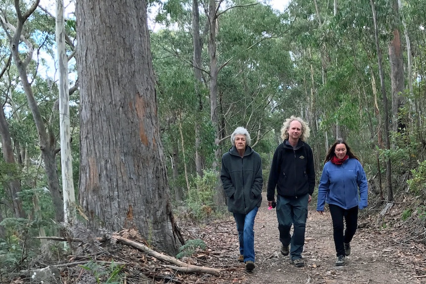 St Helens residents walking through bush