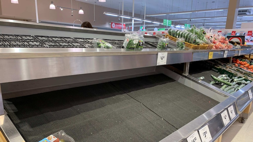 An empty produce section at a supermarket