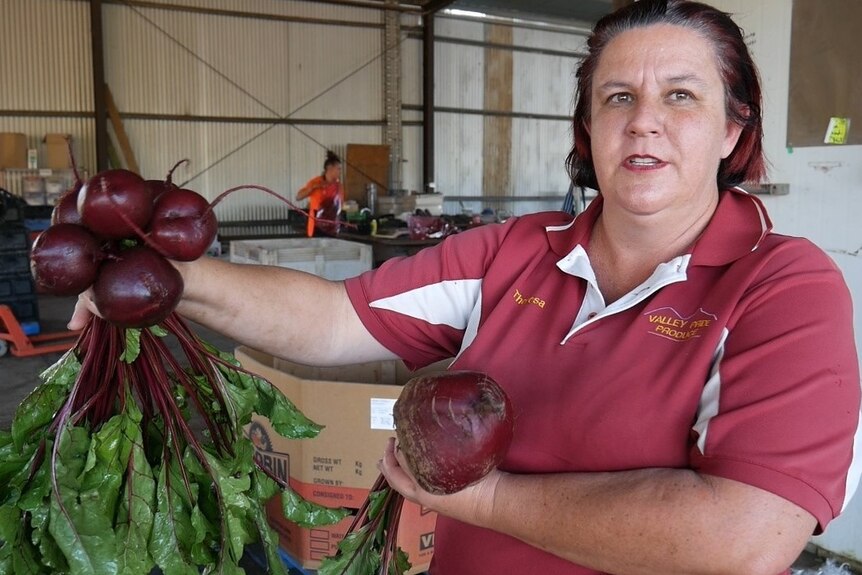 Boonah vegetable farmer Theresa Scholl holds up a bunch of beetroot in one of her sheds.