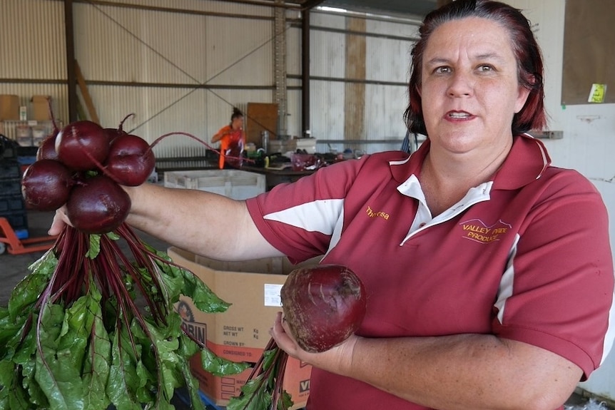 Boonah vegetable farmer Theresa Scholl holds up a bunch of beetroot in one of her sheds.