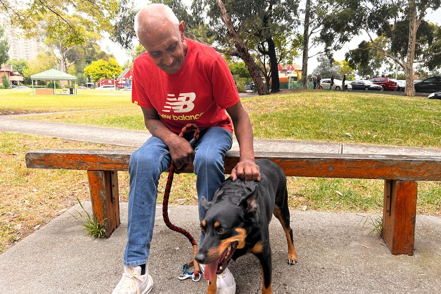 A man sits on a park bench and pets a dog on a lead.