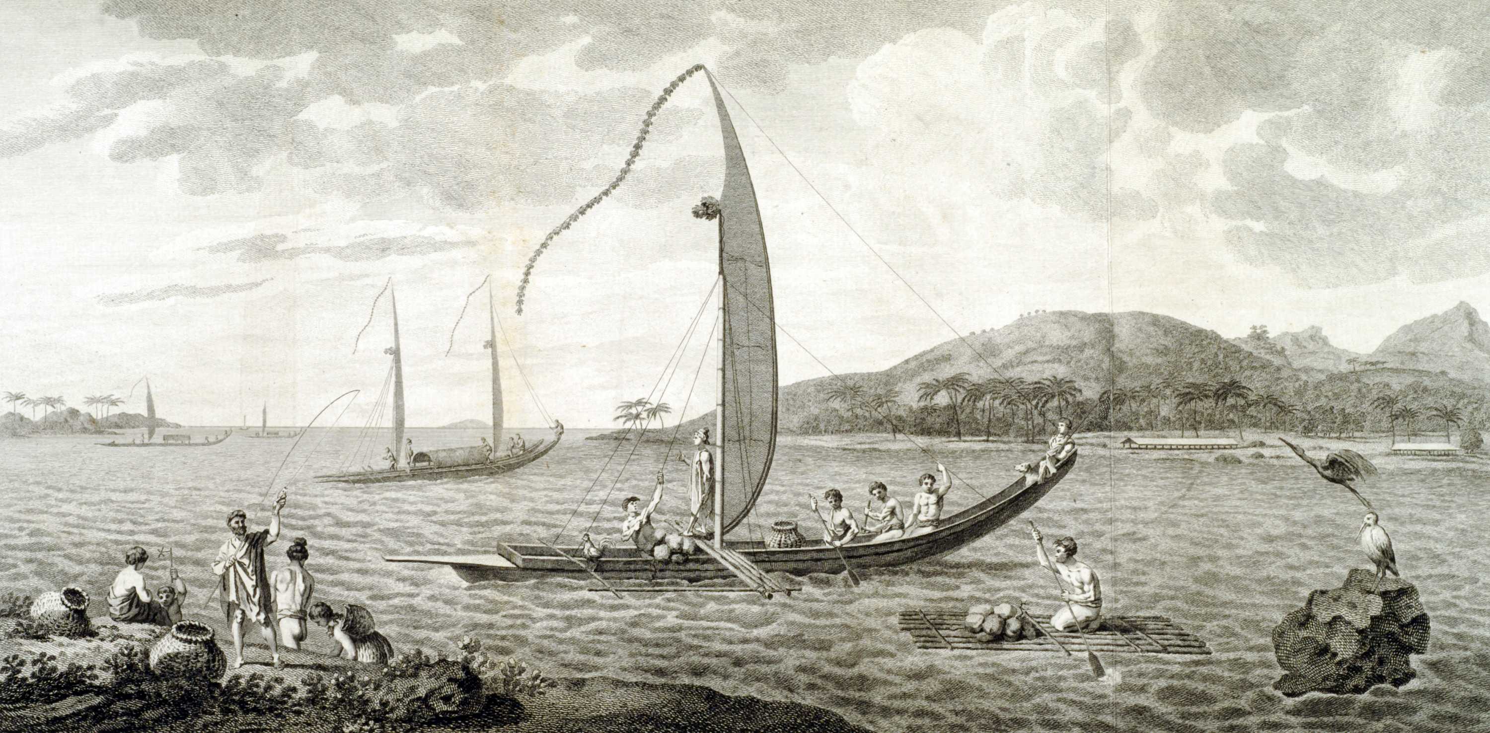 Captain Cook's Holy Man Tupa'ia episode artwork