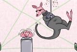 An illustration of a kangaroo dressed in black lowering itself on a rope next to a large pink diamond.