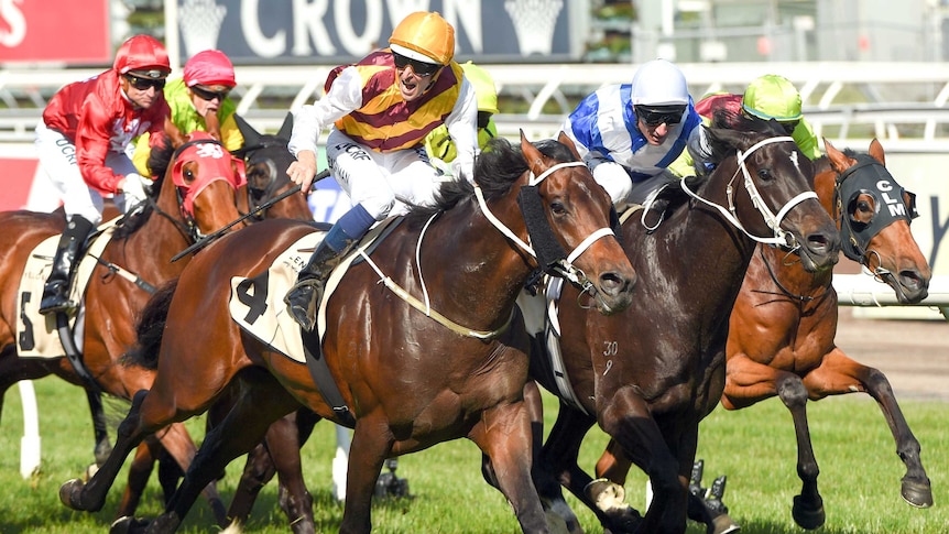 Preferment wins Turnbull Stakes at Flemington on October 4, 2015.