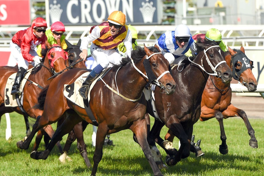 Preferment wins the Turnbull Stakes ahead of the Melbourne Cup.