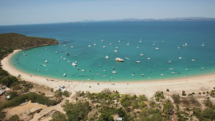 A fleet of boats, kayaks and jetskis take to the waters off Great Keppel Island.
