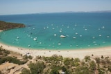 An fleet of boats, kayaks and jet skis take to the waters off Great Keppel Island
