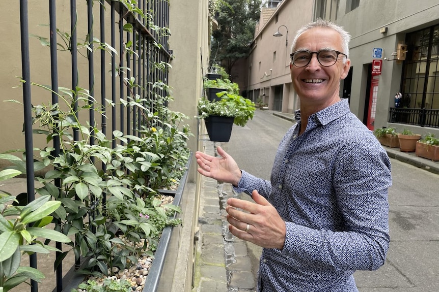 A smiling man in grey shirt gestures at hanging plants in a laneway