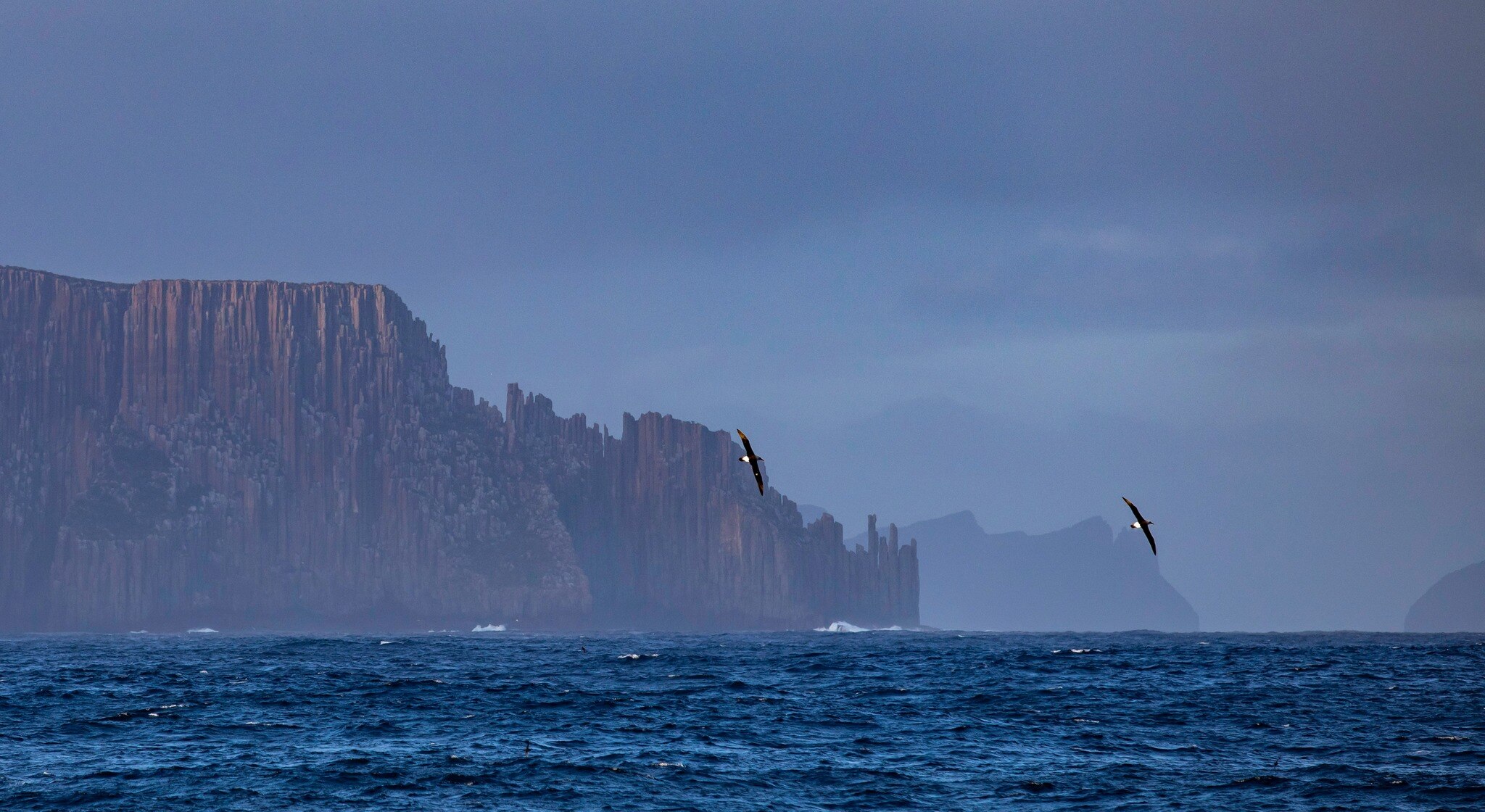 Steep rock formation and seaside cliffs. Two birds in foreground.