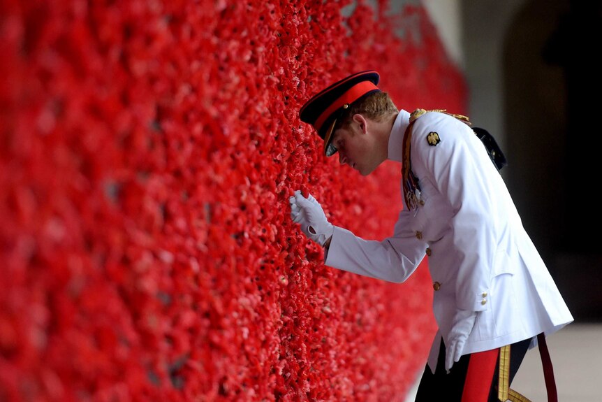 Prince Harry looks at poppies at Australia War Memorial