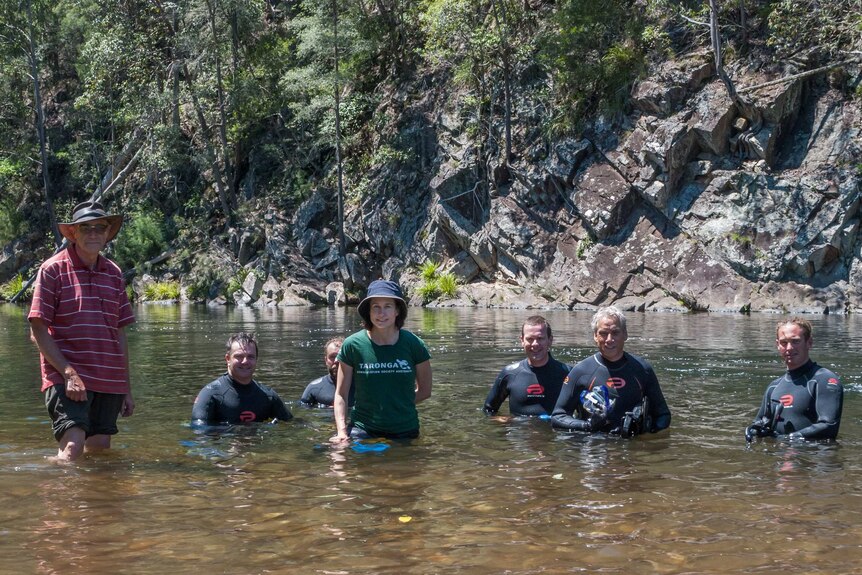 Bellinger river turtle multi-agency survey team, late 2015.