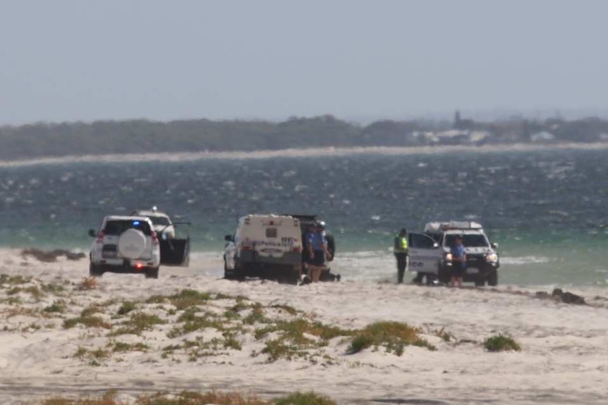 Three police cars on the scene of a windswept beach.