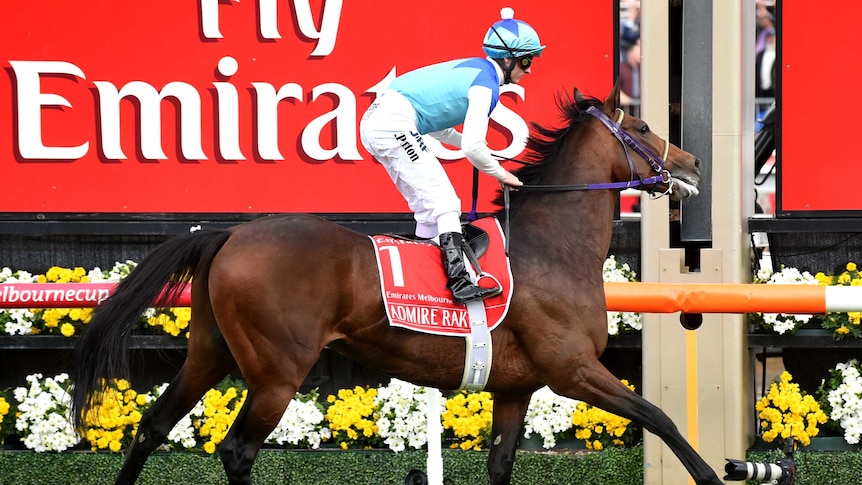 Admire Rakti crosses the line at the 2014 Melbourne Cup