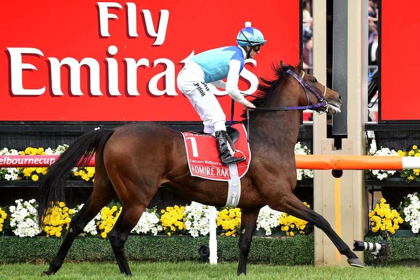 Admire Rakti crosses the line last in the 2014 Melbourne Cup.