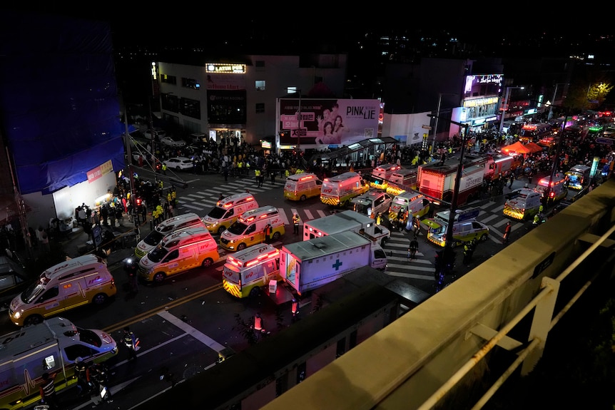Emergency vehicles in Seoul, pictured from a roof top, working to help people injured in a stampede