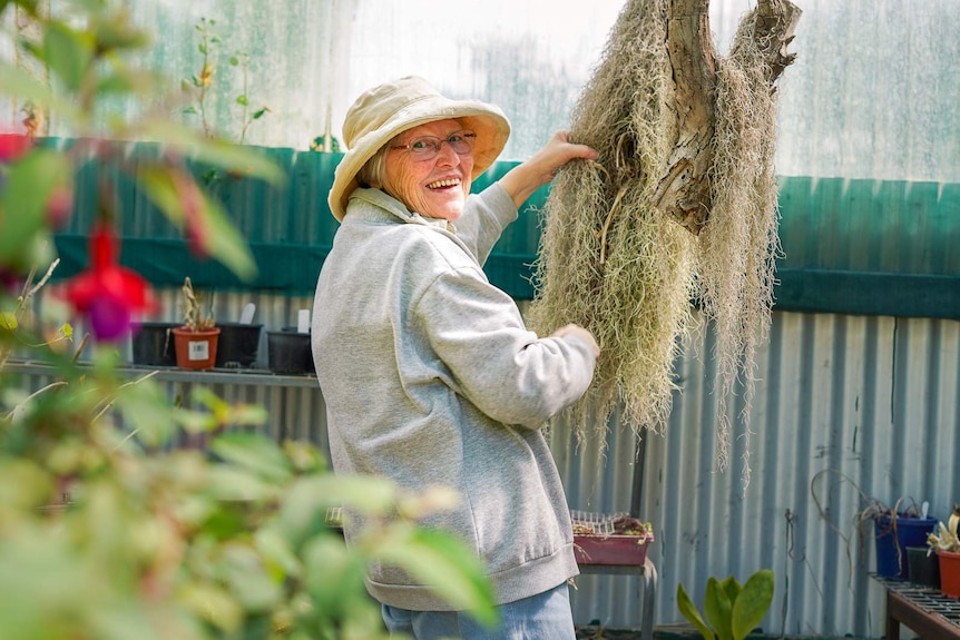 An older woman stands next to part of a dead tree hanging in a shed, a hole in the middle marks a bird nest.